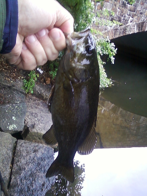 Smallmouth