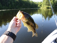 Paradise Pond III - 6-28-2014 Fishing Report