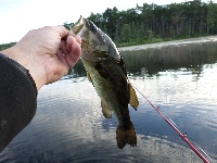 West Waushacum Pond & The Quag - 7/6/2014 Fishing Report