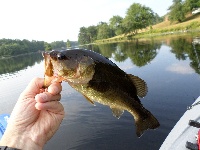 Brigham Pond - 7-26-2014 Fishing Report
