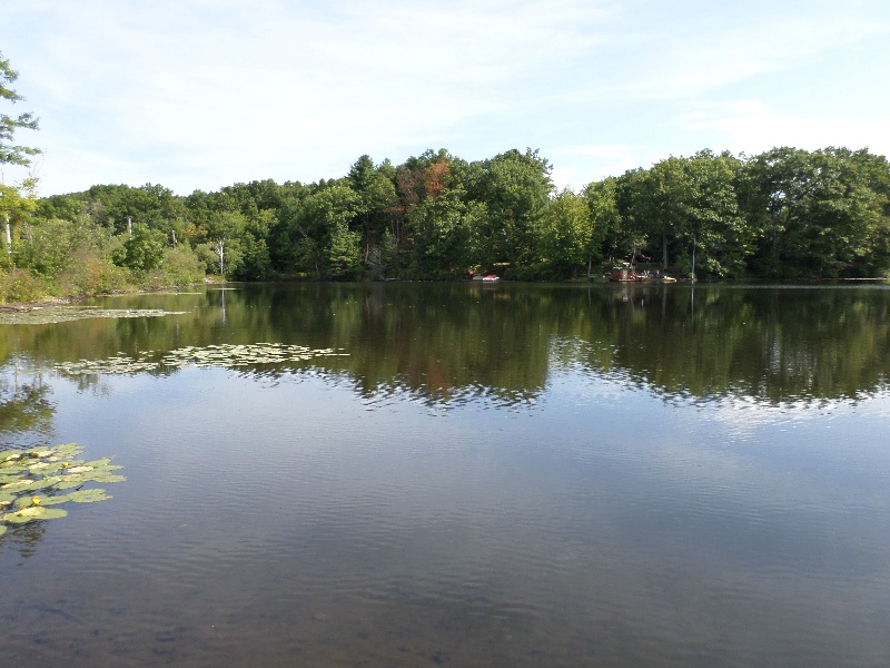 South Meadow Pond near Lancaster