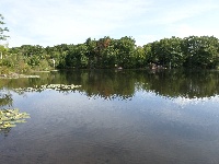 South Meadow Pond - 8-16-2014