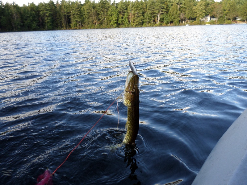 Lake Wampanoag, MA