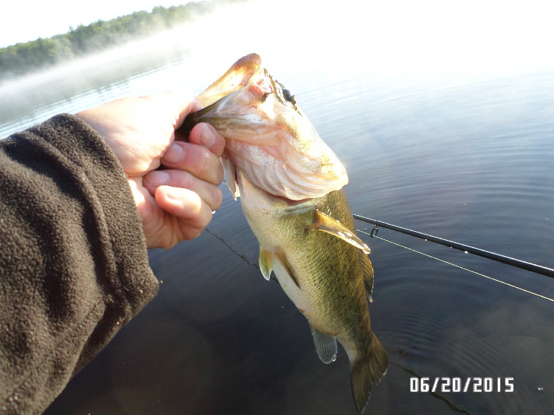 Whitney Pond Largemouth near Winchendon