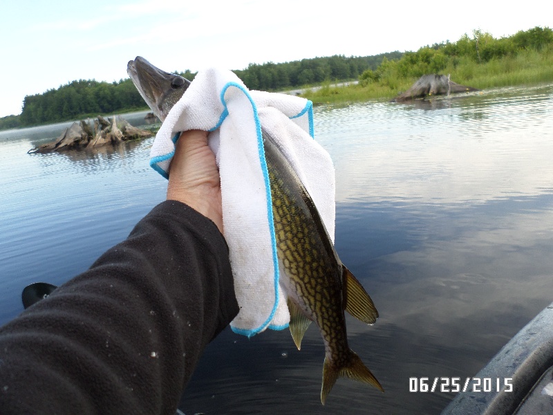 6-25-2015: Whitney Pond near Winchendon