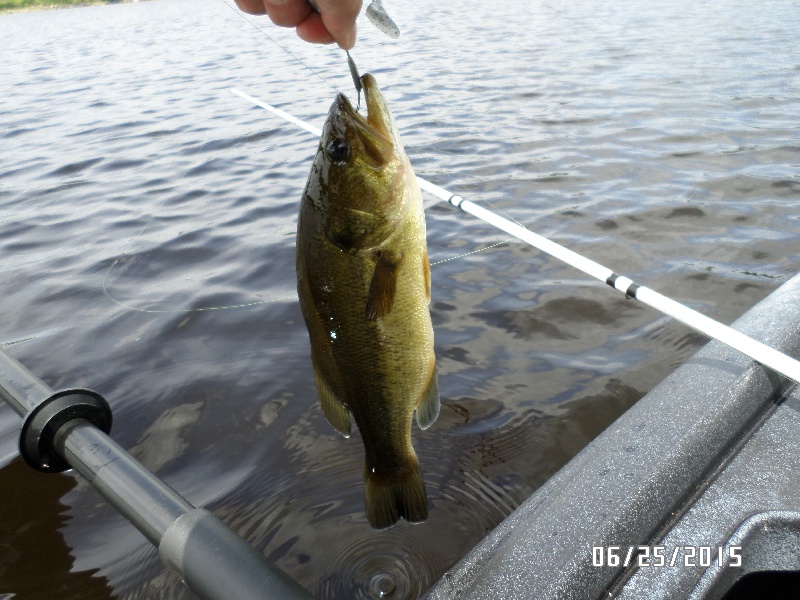 6-25-2015: Whitney Pond near Winchendon