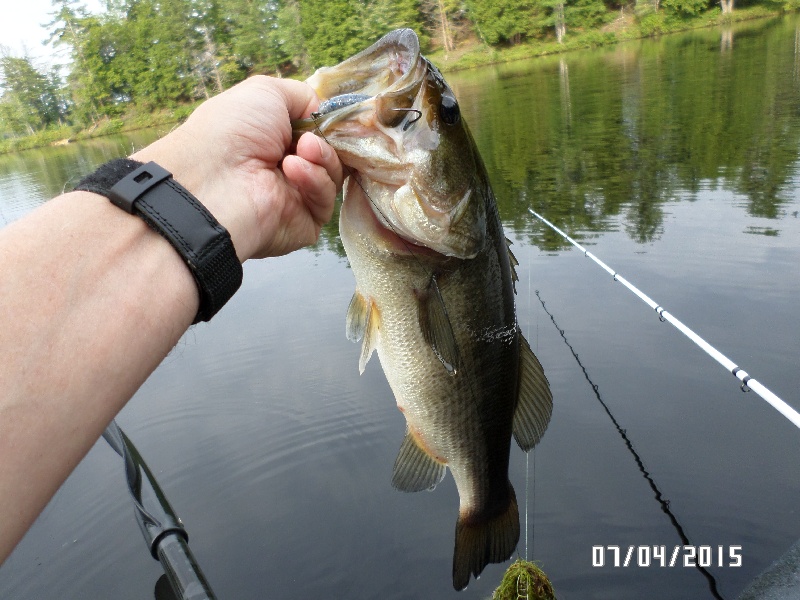 7-4-2015 Tully Lake Bass