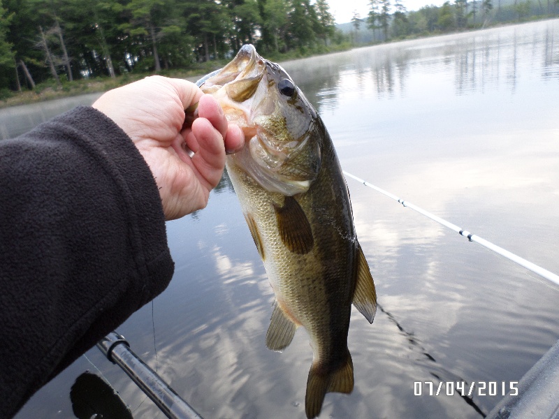 7-4-2015 Tully Lake Bass