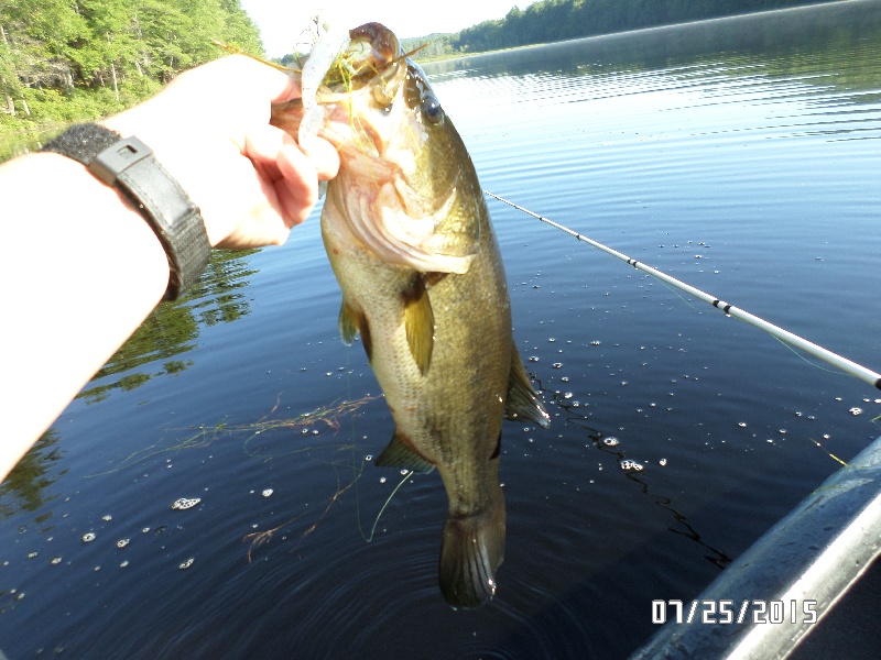 Long Pond, Royalston MA