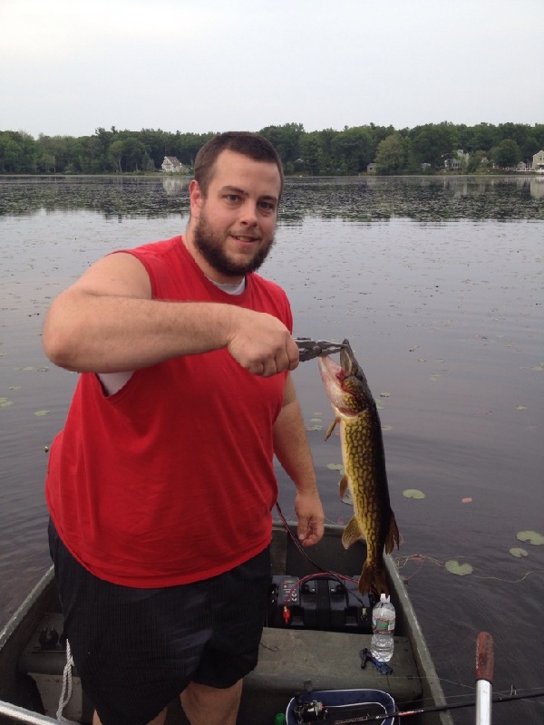 Pickerel in the Weeds