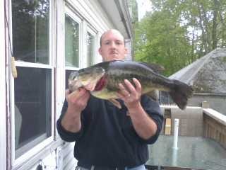 bob the fish