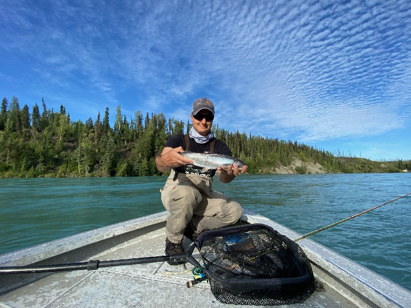 Dolly Varden #Alaska