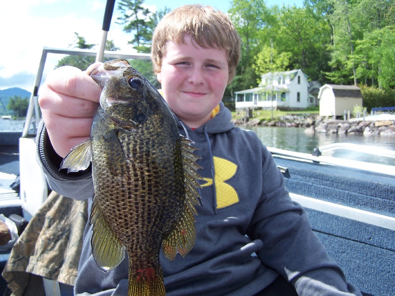 rock bass