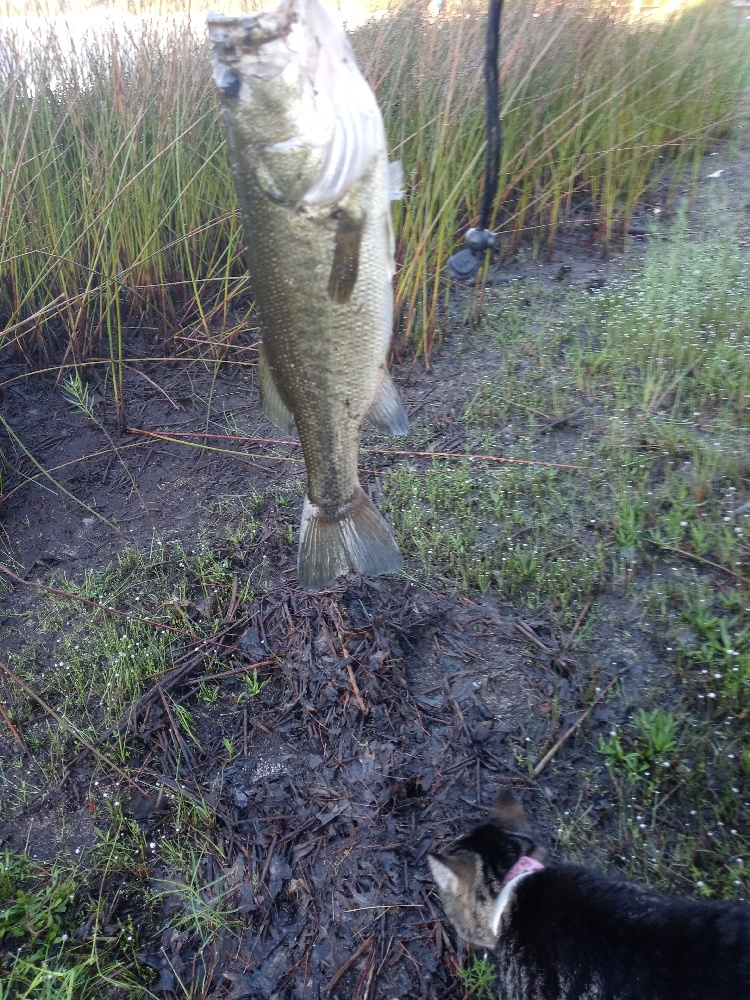 Just me and Mallie doing some early morning fishing before work