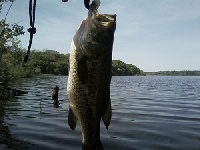 A Steamy Day at Ponkapoag Pond