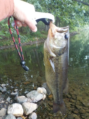 Sudbury Reservoir Weed Bed Larry