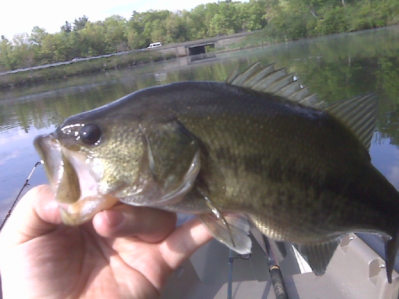 First Bass Of Season