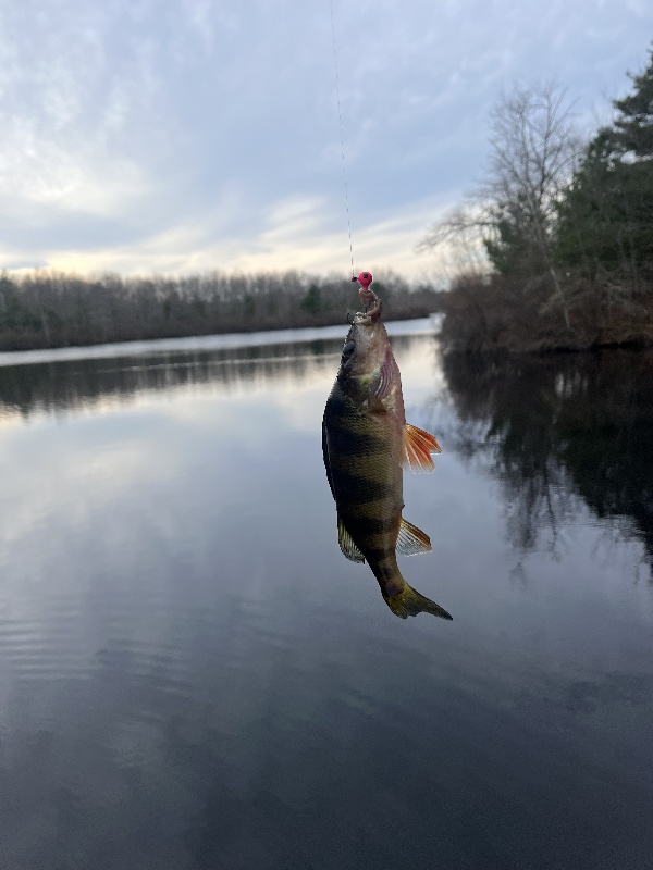 ames nowell fishin