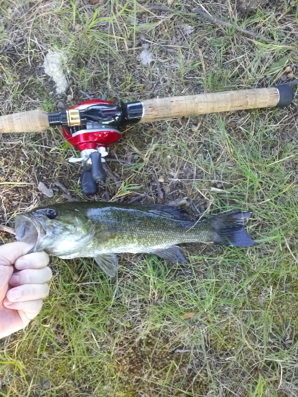 Largemouth near Cambridge