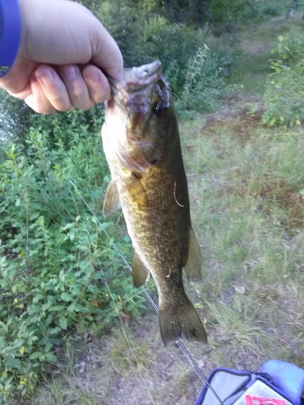 smallmouth near Cambridge