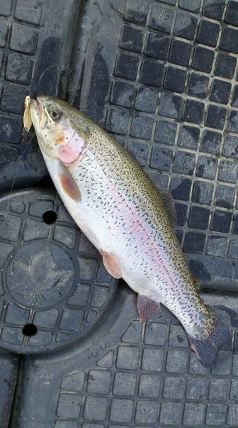 Rainbow over North Pond