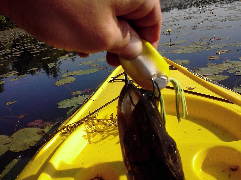 Tyngsborough fishing photo 1