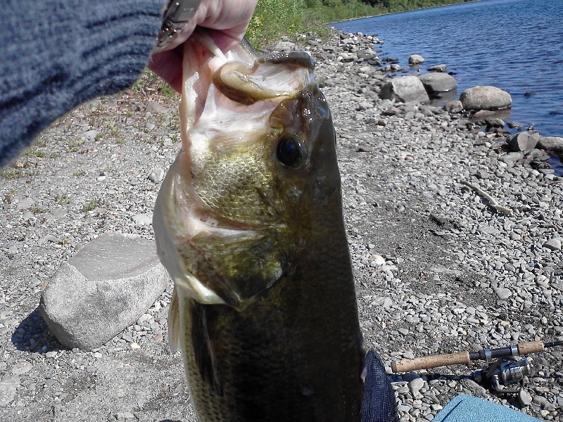 20 inch largemouth