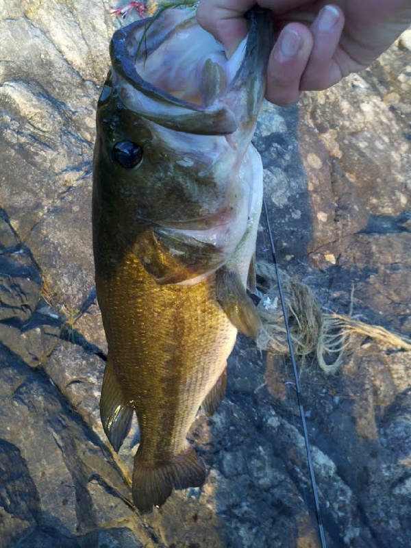 big bass near Burlington