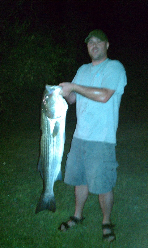 a decent striper 40"