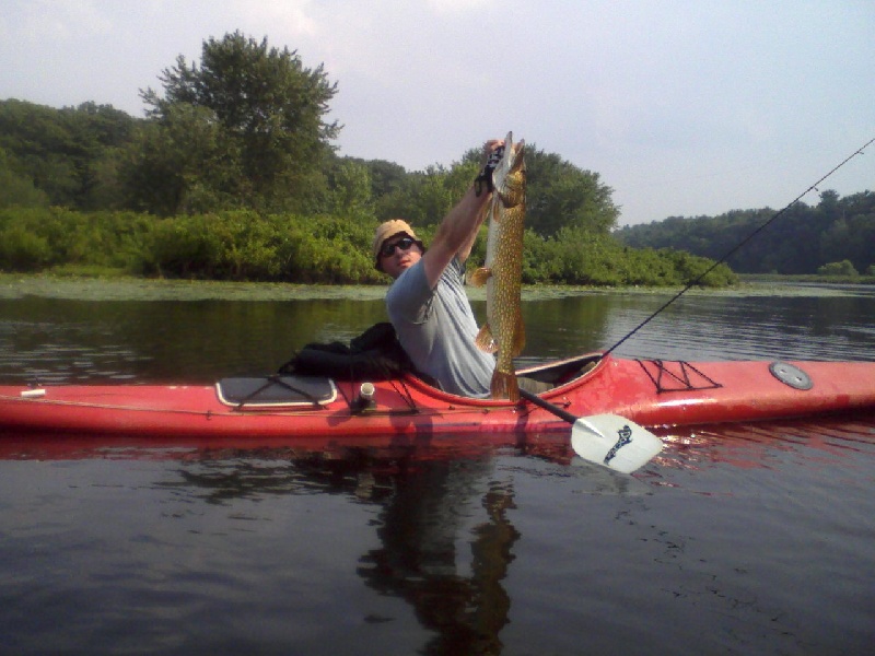 very nice pike 44"