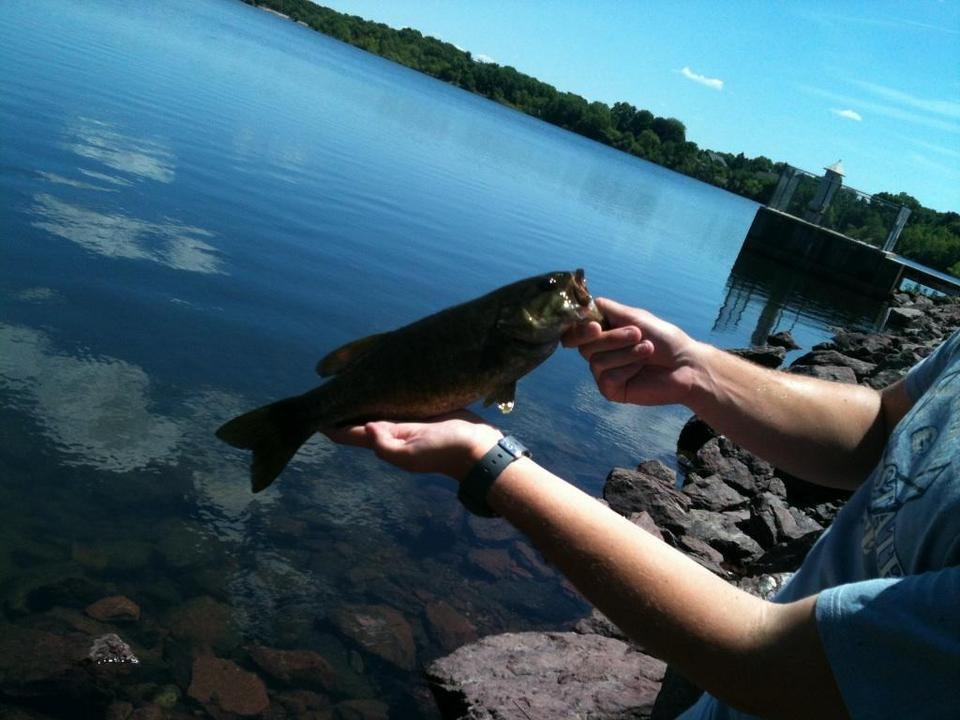 Manchester Pond Smallie