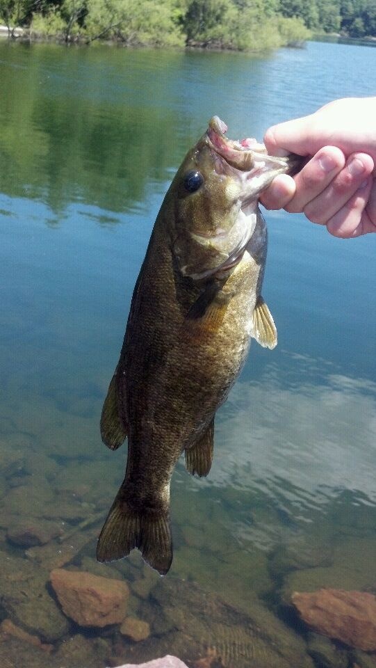 Last smallie of the day! near Attleboro