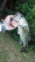 6 fish in 45 minutes Fishing Report