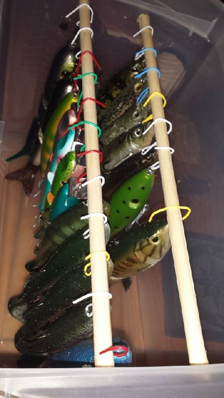 Swimbait Storage - MA Fish Finder