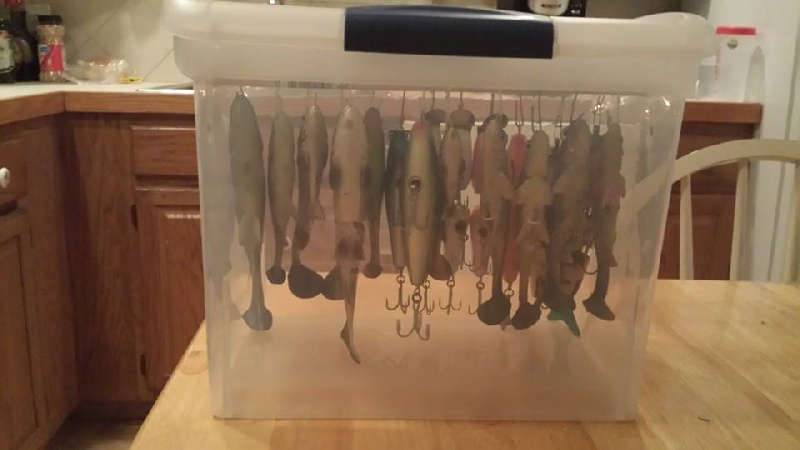 Swimbait Storage