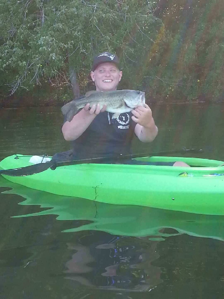 Billington Bass