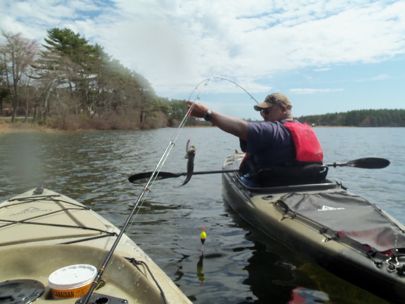 Mattapoisett fishing photo 3