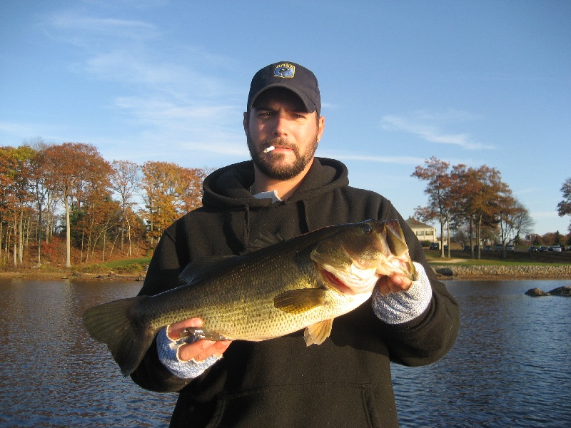 Fat fall bass 