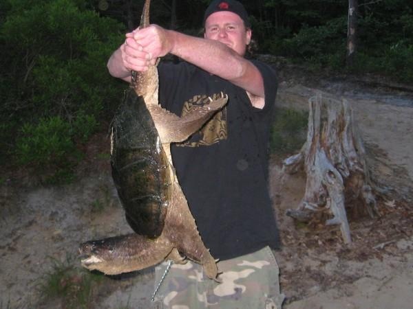 Giant snapper we reeled in