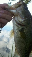 Spy Pond