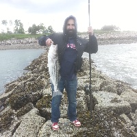 31" Striped bass 