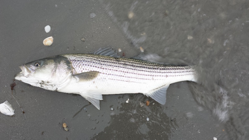 Winthrop fishing photo 1