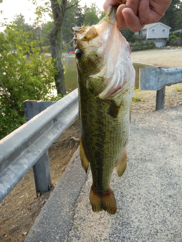 Holtshire pond???