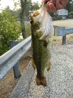 Pond that neighbors lake mattawa Fishing Report