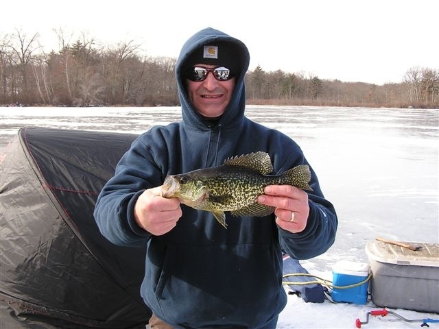 Leweys Crappie