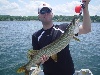 Berkshire County Pike & Musky