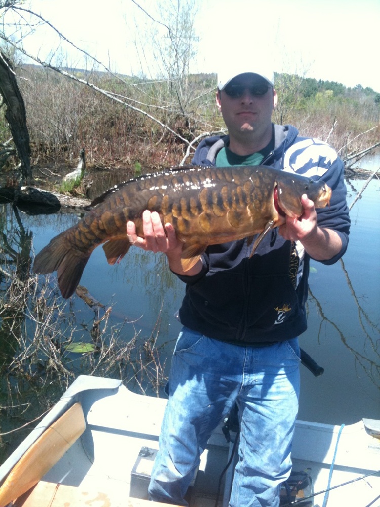 10 pound mirror carp