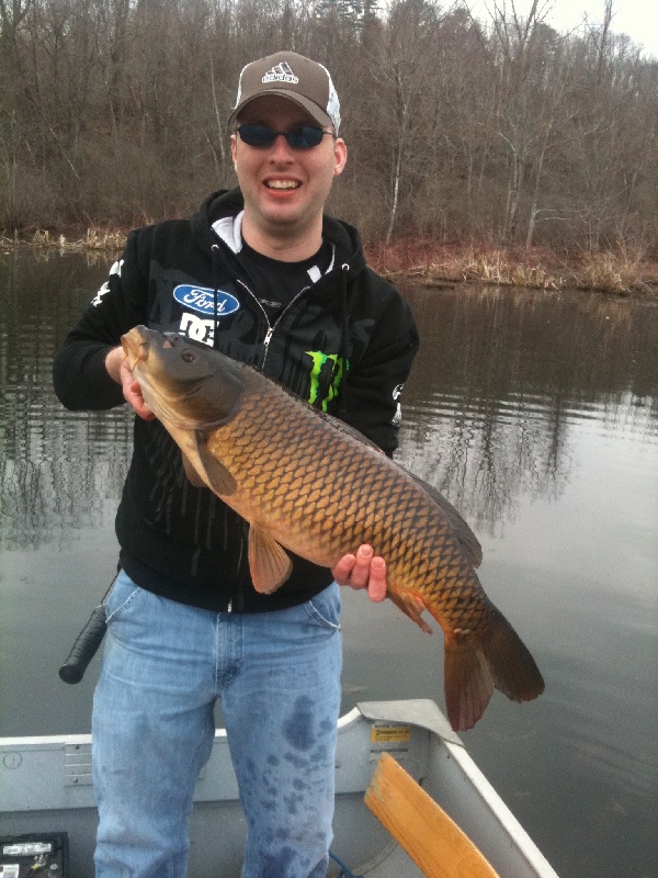 16.5lb common carp near Lee