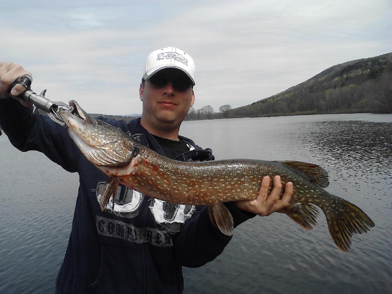 pike in the mix near Washington