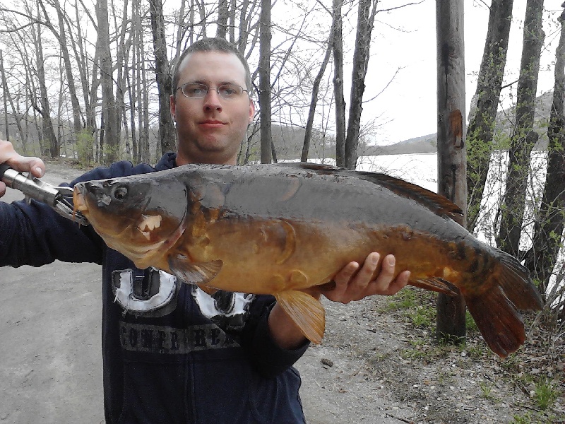 19.5lb armored carp near Lee